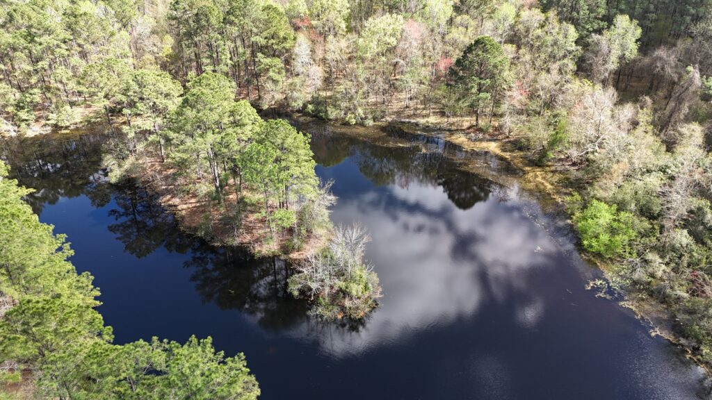 35 Acre wetland -pond area
